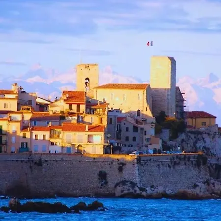 Apartment Lovely Air-Conned Flat Swimming Pool Sea 5 Minutes Away Vallauris